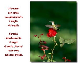 I fortunati  non hanno  necessariamente il meglio  del meglio. Cercano  semplicemente  il meglio di quello che essi  incontrano  sulla loro strada. 