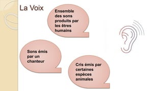 La Voix
Cris émis par
certaines
espèces
animales
Ensemble
des sons
produits par
les êtres
humains
Sons émis
par un
chanteur
 