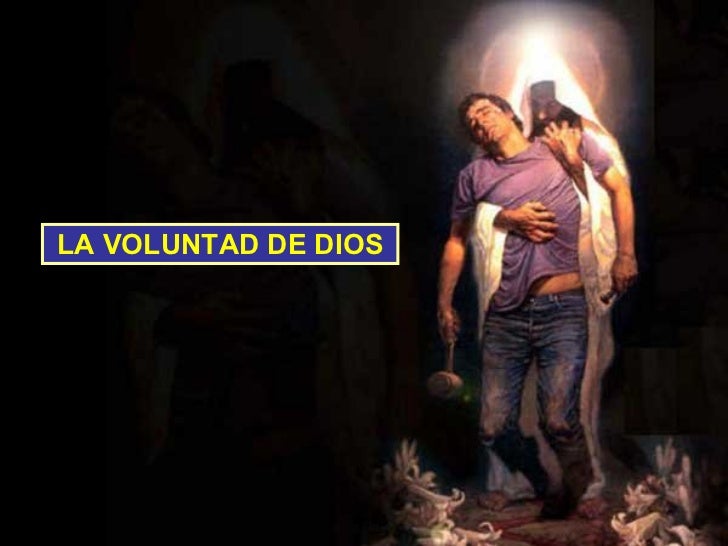 La Voluntad De Dios
