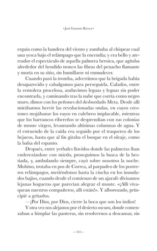 – 114 –
José Eustasio Rivera
erguía como la bandera del viento y zumbaba al chispear cual
una yesca bajo el relámpago que la encendía; y era bello y ate-
rrador el espectáculo de aquella palmera heroica, que agitaba
alrededor del hendido tronco las fibras del penacho flamante
y moría en su sitio, sin humillarse ni enmudecer.
Cuando pasó la tromba, advertimos que la brigada había
desaparecido y cabalgamos para perseguirla. Calados, entre
la ventolera procelosa, anduvimos leguas y leguas sin poder
encontrarla, y caminando tras la nube que corría como negro
muro, dimos con los peñones del desbordado Meta. Desde allí
mirábamos hervir las revolucionadas ondas, en cuyos cres-
tones mojábanse los rayos en culebreo implacable, mientras
que los barrancos ribereños se desprendían con sus colonias
de monte virgen, levantando altísimas columnas de agua. Y
el estruendo de la caída era seguido por el traqueteo de los
bejucos, hasta que al fin giraba el bosque en el oleaje, como
la balsa del espanto.
Después, entre yerbales llovidos donde las palmeras iban
enderezándose con miedo, proseguimos la busca de la bes-
tiada, y, ambulando siempre, cayó sobre nosotros la noche.
Mohíno, trotaba en pos de Correa, al parpadeo de los postre-
ros relámpagos, metiéndonos hasta la cincha en los inunda-
dos bajíos, cuando desde el comienzo de un ajarafe divisamos
lejanas hogueras que parecían alegrar el monte. «¡Allí viva-
quean nuestros compañeros, allí están!». Y alborozado, prin-
cipié a gritarlos.
—¡Por Dios, por Dios, cierre la boca que son los indios!
Y otra vez nos alejamos por el desierto oscuro, donde comen-
zaban a himplar las panteras, sin resolvernos a descansar, sin
 