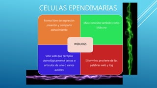 CELULAS EPENDIMARIAS
Forma libre de expresión
,creación y compartir
conocimiento
Mas conocido también como
bitácora
Sitio web que recopila
cronológicamente textos o
artículos de uno o varios
autores
El termino proviene de las
palabras web y log
WEBLOGS
 