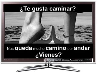 Spmycm Nos  queda  mucho  camino  por  andar ¿Te gusta caminar? ¿Vienes? Spmycm 