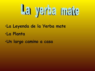 La  yerba  mate ,[object Object],[object Object],[object Object]