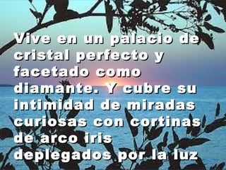 Vive eenn uunn ppaallaacciioo ddee 
ccrriissttaall ppeerrffeeccttoo yy 
ffaacceettaaddoo ccoommoo 
ddiiaammaannttee.. YY ccuubbrree ssuu 
iinnttiimmiiddaadd ddee mmiirraaddaass 
ccuurriioossaass ccoonn ccoorrttiinnaass 
ddee aarrccoo iirriiss 
ddeepplleeggaaddooss ppoorr llaa lluuzz 
 