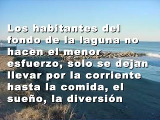LLooss hhaabbiittaanntteess ddeell 
ffoonnddoo ddee llaa llaagguunnaa nnoo 
hhaacceenn eell mmeennoorr 
eessffuueerrzzoo,, ssoolloo ssee ddeejjaann 
lllleevvaarr ppoorr llaa ccoorrrriieennttee 
hhaassttaa llaa ccoommiiddaa,, eell 
ssuueeññoo,, llaa ddiivveerrssiióónn 
 