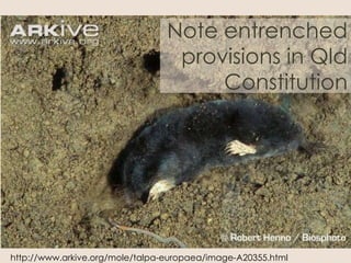 Note entrenched
provisions in Qld
Constitution
http://www.arkive.org/mole/talpa-europaea/image-A20355.html
 