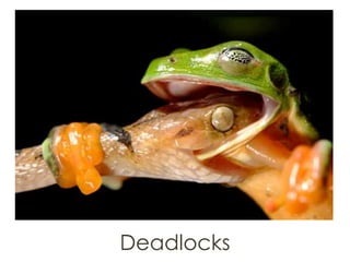 Deadlocks
 