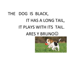 THE DOG IS BLACK,
IT HAS A LONG TAIL,
IT PLAYS WITH ITS TAIL.
ARES Y BRUNO
 