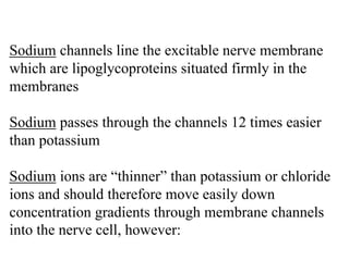 Sodium channels line the excitable nerve membrane
which are lipoglycoproteins situated firmly in the
membranes
Sodium pass...