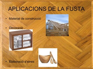 APLICACIONS DE LA FUSTA
• Material de construcció
• Decoració
• Elaboració d’eines
 