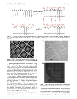 Condensing water onto the substrate provided a quick way to
visualize the hydrophilic patterns using optical microscopy.37
Figure 6 presents an optical microscope image of water
condensation onto patterned R(1,6)dextran polysaccharides with
a MW of 2000 kDa. The hydrophilic attraction between water
andthepolysaccharidesrelativetotheunmodifiedmaskedregions
of the monolayer causes water to preferentially reside on the
areas of the substrate containing polysaccharide. The results were
similar when 20 kDa R(1,6)dextrans were patterned.
Other strategies involving immobilization without prior
derivatization have been successful with carbohydrate-containing
macromolecules noncovalently adsorbed on nitrocellulose1 or
oxidized polystyrene (PS);5 however, the nitrocellulose study
showed that the immobilization efficiency decreases with the
MW of the polysaccharides.1 To show the versatility of our
method, we tested glucose and sucrosestwo simple sugars at the
low extreme of MW, containing both six- and five-membered
sugar moieties. The resulting water condensation images are
presented in Figure 7. The visible patterns clearly show that our
method extends to sugars of the lowest MWs.
To show that our method is applicable for the high-throughput
production of carbohydrate microarrays, we investigated whether
carbohydrates could be microspotted and subsequently photo-
immobilized using a robotic spotter. We applied the FITC-
conjugated polysaccharides as probes to monitor the spotting
(37) Lopez, G. P.; Biebuyck, H. A.; Frisbie, C. D.; Whitesides, G. M. Science
1993, 260 (5108), 647-649.
Figure 5. The strategy for direct chemical patterning of a surface with carbohydrates involves a photolithographic technique. Carbohydrates
are spin-coated onto SAM 1 and covered with a mask. Irradiation induces a photochemical reaction that covalently links the carbohydrates
to SAM 1.
Figure 6. Optical microscope images of water condensation on
photochemically generated patterns of polysaccharides on SAM 1.
Figure 7. Optical microscope images of breath condensation on
photochemically generated patterns of (a) sucrose and (b) glucose.
2902 Langmuir, Vol. 22, No. 6, 2006 Carroll et al.
 