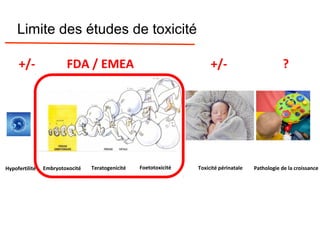 Hypofertilité Embryotoxocité Foetotoxicité Toxicité périnatale Pathologie de la croissanceTeratogenicité
+/- FDA / EMEA +/- ?
Limite des études de toxicité
 