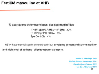 Fertilité masculine et VHB
37
 