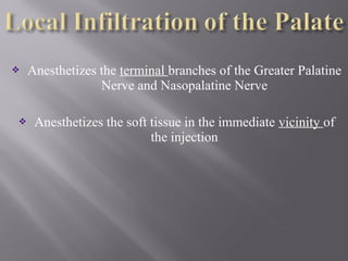  Anesthetizes the terminal branches of the Greater Palatine
Nerve and Nasopalatine Nerve
 Anesthetizes the soft tissue in the immediate vicinity of
the injection
 