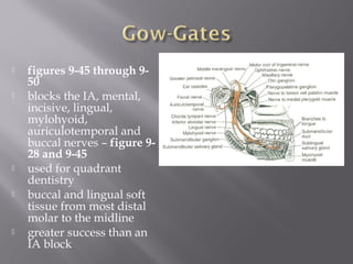 figures 9-45 through 9-
50
 blocks the IA, mental,
incisive, lingual,
mylohyoid,
auriculotemporal and
buccal nerves – figure 9-
28 and 9-45
 used for quadrant
dentistry
 buccal and lingual soft
tissue from most distal
molar to the midline
 greater success than an
IA block
 