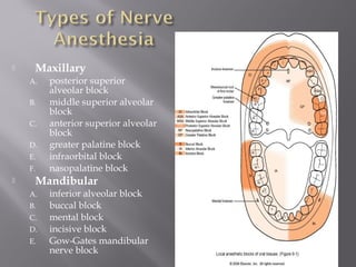  Maxillary
A. posterior superior
alveolar block
B. middle superior alveolar
block
C. anterior superior alveolar
block
D. greater palatine block
E. infraorbital block
F. nasopalatine block
 Mandibular
A. inferior alveolar block
B. buccal block
C. mental block
D. incisive block
E. Gow-Gates mandibular
nerve block
 