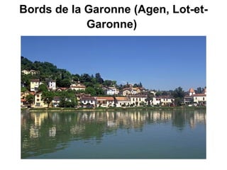 Bords de la Garonne (Agen, Lot-et-Garonne)   
