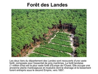 Forêt des Landes Les deux tiers du département des Landes sont recouverts d'une vaste forêt, composée pour l'essentiel de pins maritimes. La forêt landaise (1 million d'ha) est la plus vaste forêt d'Europe de l'Ouest. Elle occupe une ancienne plaine marécageuse et insalubre dont le drainage et le boisement furent entrepris sous le second Empire, vers 1857.   