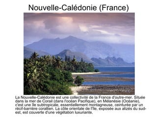 Nouvelle-Calédonie (France) La Nouvelle-Calédonie est une collectivité de la France d'outre-mer. Située dans la mer de Corail (dans l'océan Pacifique), en Mélanésie (Océanie), c'est une île subtropicale, essentiellement montagneuse, ceinturée par un récif-barrière corallien. La côte orientale de l'île, exposée aux alizés du sud-est, est couverte d'une végétation luxuriante.   