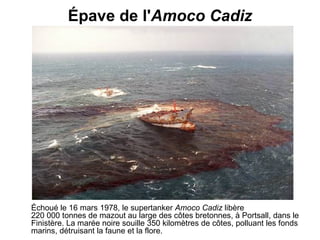 Épave de l' Amoco Cadiz Échoué le 16 mars 1978, le supertanker  Amoco Cadiz  libère 220 000 tonnes de mazout au large des côtes bretonnes, à Portsall, dans le Finistère. La marée noire souille 350 kilomètres de côtes, polluant les fonds marins, détruisant la faune et la flore.   