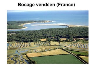 Bocage vendéen (France)   