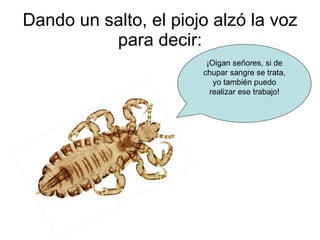 Dando un salto, el piojo alzó la voz para decir: ¡Oigan señores, si de chupar sangre se trata, yo también puedo realizar ese trabajo! 