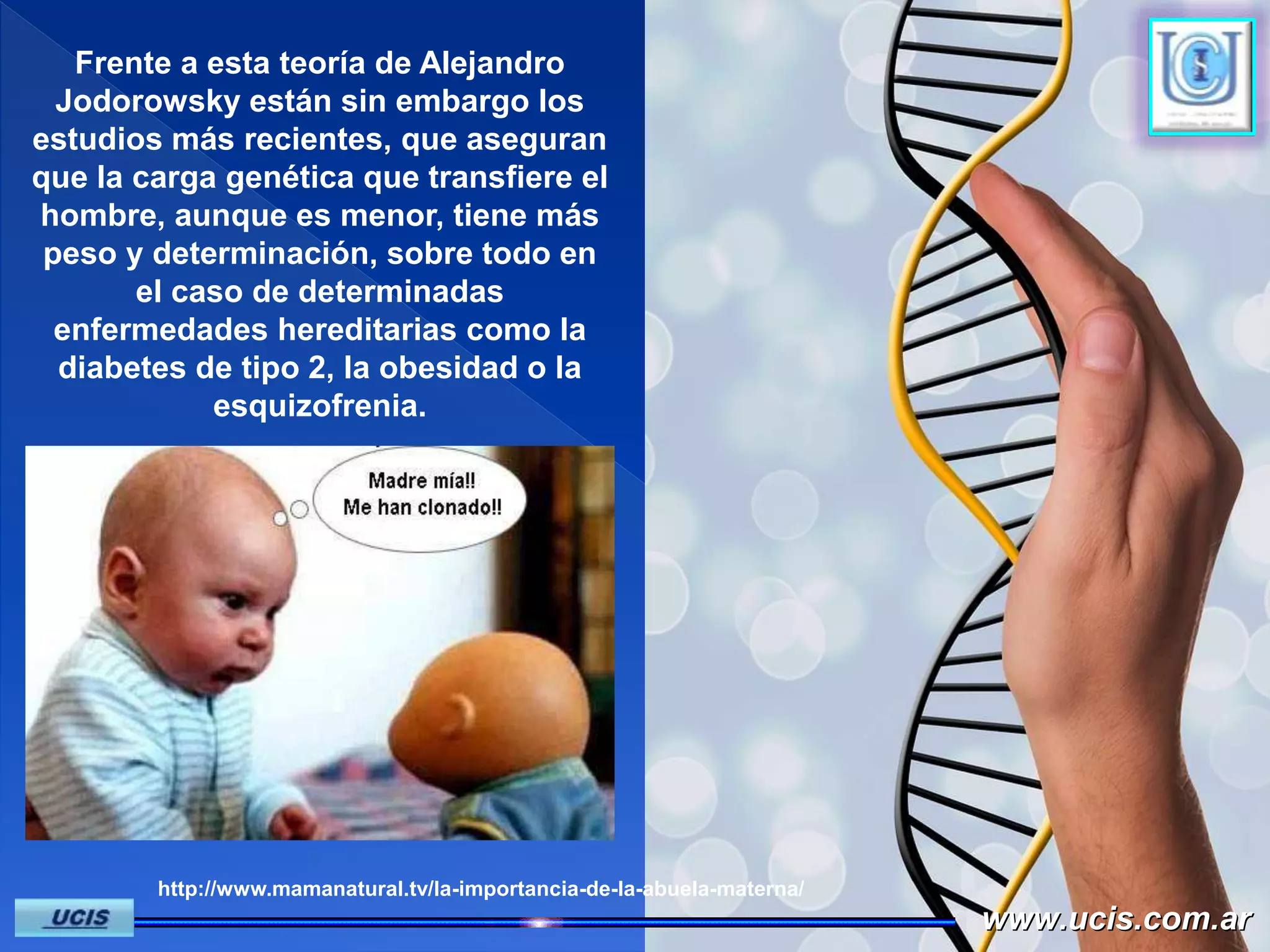 Frente a esta teoría de Alejandro
Jodorowsky están sin embargo los
estudios más recientes, que aseguran
que la carga genética que transfiere el
hombre, aunque es menor, tiene más
peso y determinación, sobre todo en
el caso de determinadas
enfermedades hereditarias como la
diabetes de tipo 2, la obesidad o la
esquizofrenia.
www.ucis.com.arwww.ucis.com.ar
http://www.mamanatural.tv/la-importancia-de-la-abuela-materna/