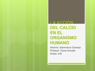 LA ACCIÓN
DEL CALCIO
EN EL
ORGANISMO
HUMANO
Alumno: Gianmarco Ocampo
Profesor: Oscar Arevalo
Grado: 9-B
 