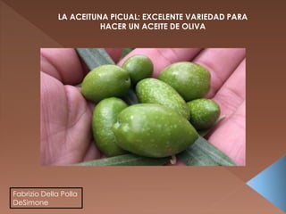 Fabrizio Della Polla
DeSimone
LA ACEITUNA PICUAL: EXCELENTE VARIEDAD PARA
HACER UN ACEITE DE OLIVA
 