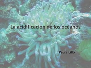 La acidificación de los océanos



                     Paula Lillo
 