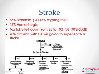 Stroke 
• 85% Ischemic ( 30-45% cryptogenic) 
• 15% Hemorrhagic 
• Mortality felt down from 35 to 19% (US 1998-2008) 
• 40% patients with TIA will go on to experience a 
stroke 
 