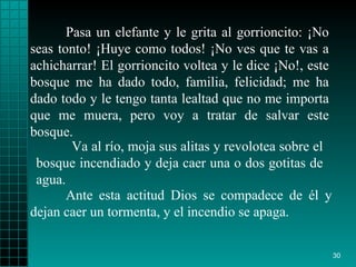 Pasa un elefante y le grita al gorrioncito: ¡No seas tonto! ¡Huye como todos! ¡No ves que te vas a achicharrar! El gorrioncito voltea y le dice ¡No!, este bosque me ha dado todo, familia, felicidad; me ha dado todo y le tengo tanta lealtad que no me importa que me muera, pero voy a tratar de salvar este bosque.    Ante esta actitud Dios se compadece de él y dejan caer un tormenta, y el incendio se apaga. Va al río, moja sus alitas y revolotea sobre el bosque incendiado y deja caer una o dos gotitas de agua. 
