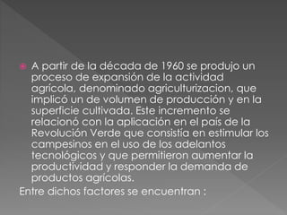  A partir de la década de 1960 se produjo un
proceso de expansión de la actividad
agrícola, denominado agriculturizacion, que
implicó un de volumen de producción y en la
superficie cultivada. Este incremento se
relacionó con la aplicación en el país de la
Revolución Verde que consistía en estimular los
campesinos en el uso de los adelantos
tecnológicos y que permitieron aumentar la
productividad y responder la demanda de
productos agrícolas.
Entre dichos factores se encuentran :
 