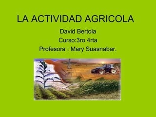 LA ACTIVIDAD AGRICOLA
David Bertola
Curso:3ro 4rta
Profesora : Mary Suasnabar.
 