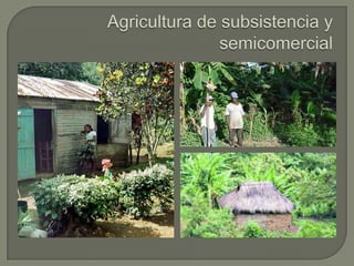 La agricultura en Venezuela