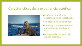 Características de la experiencia estética
• Profunda : transforma

nuestra visión d e la realidad.
• A histórica: no tiene tiempo
• Intensa y breve: un momento

que nos puede cambiar la
vida.
• Descentrada: nos saca del

mundo ordinario

 