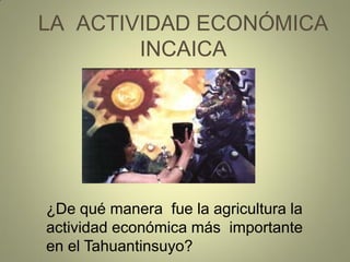 LA ACTIVIDAD ECONÓMICA
INCAICA
¿De qué manera fue la agricultura la
actividad económica más importante
en el Tahuantinsuyo?
 