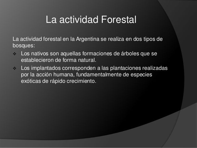 La actividad forestal