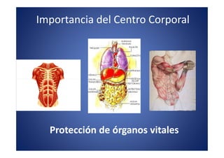 Importancia del Centro Corporal




  Protección de órganos vitales
 