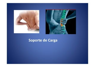 Soporte de Carga
 