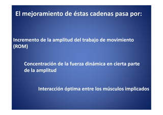 El mejoramiento de éstas cadenas pasa por:


Incremento de la amplitud del trabajo de movimiento
(ROM)


    Concentración de la fuerza dinámica en cierta parte
    de la amplitud


          Interacción óptima entre los músculos implicados
 