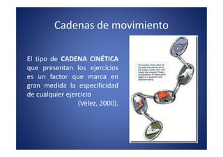 Cadenas de movimiento

El tipo de CADENA CINÉTICA
que presentan los ejercicios
es un factor que marca en
gran medida la especificidad
de cualquier ejercicio
                 (Vélez, 2000).
 