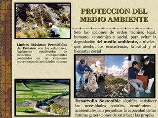 La actividad minera en perú | PPT