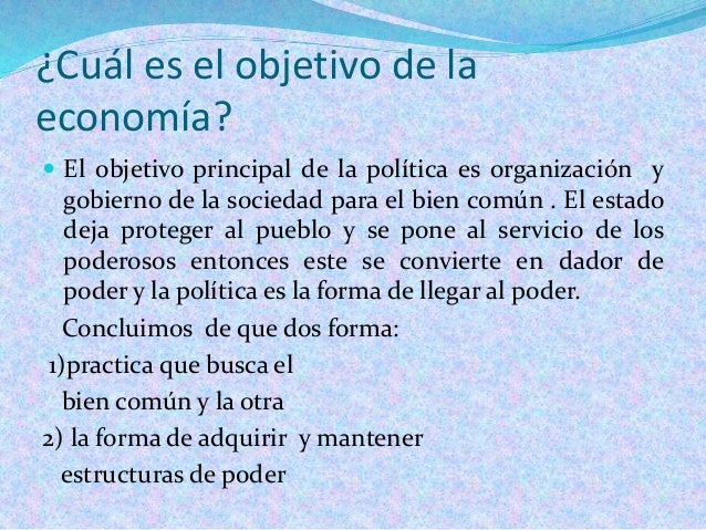 LA ACTIVIDAD POLITICA