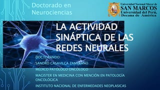 LA ACTIVIDAD
SINÁPTICA DE LAS
REDES NEURALES
DOCTORANDO:
SANDRO CASAVILCA ZAMBRANO
MÉDICO PATÓLOGO ONCÓLOGO
MAGISTER EN MEDICINA CON MENCIÓN EN PATOLOGÍA
ONCOLÓGICA
INSTITUTO NACIONAL DE ENFERMEDADES NEOPLASICAS
Doctorado en
Neurociencias
 