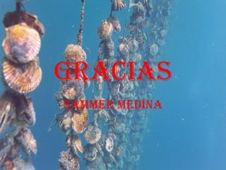 GRACIAS SAMMER MEDINA 