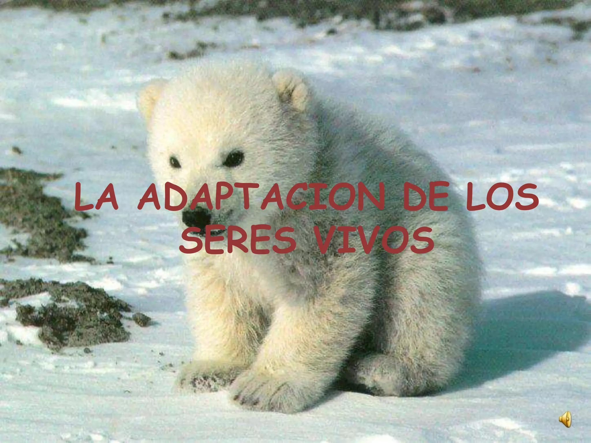 La adaptacion de los seres vivos carol boada | PPTX
