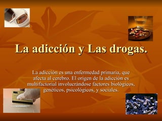 La adicción y Las drogas. La adicción es una enfermedad primaria, que afecta al cerebro. El origen de la adicción es multifactorial involucrándose factores biológicos, genéticos, psicológicos, y sociales. 