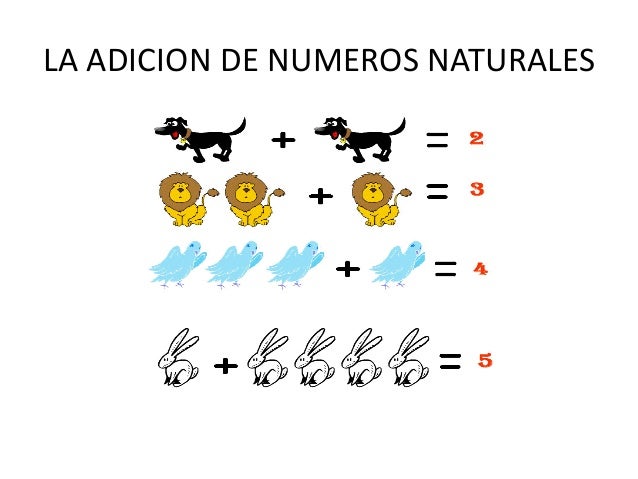 La adicion de numeros naturales