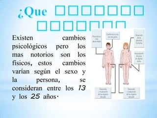 Existen           cambios
psicológicos pero los
mas notorios son los
físicos, estos cambios
varían según el sexo y
la       persona,      se
consideran entre los 13
y los 25 años.
 
